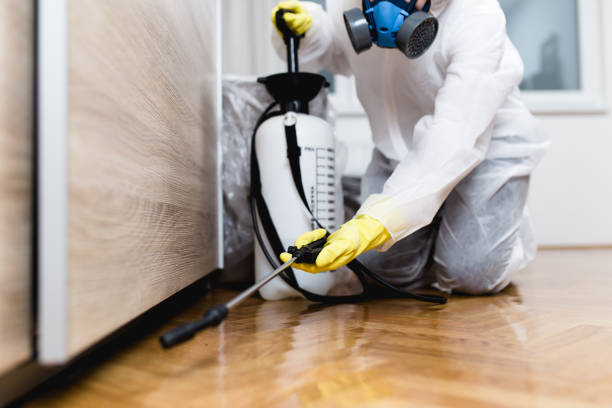 Best Pest Removal Services  in Cross Mountain, TX