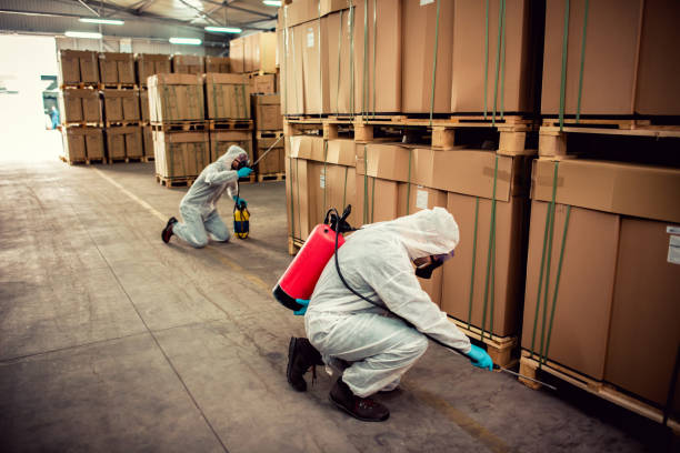 Best Cockroach Control Services  in Cross Mountain, TX