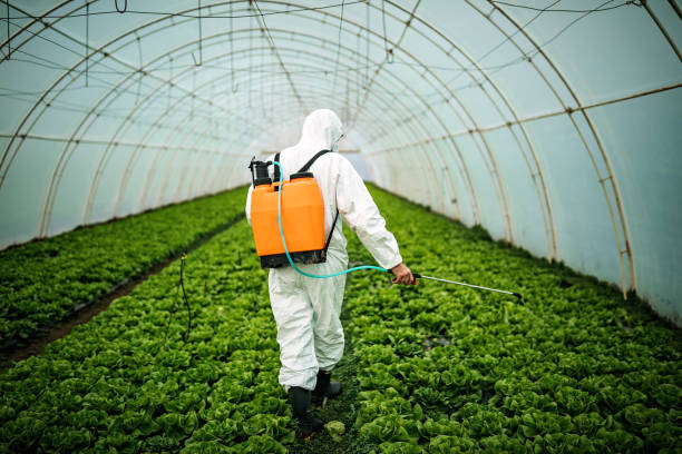 Best Local Pest Control Services  in Cross Mountain, TX