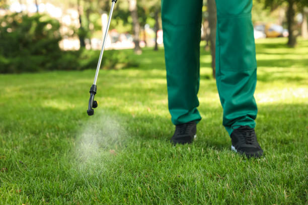 Best Pest Inspection Near Me  in Cross Mountain, TX