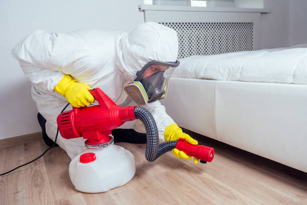 Best Affordable Pest Control Services  in Cross Mountain, TX