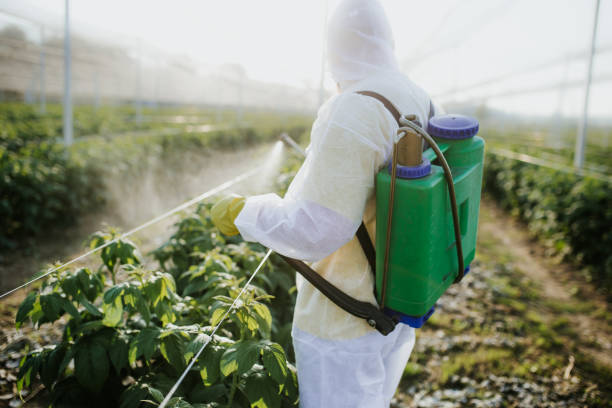 Best Emergency Pest Control  in Cross Mountain, TX